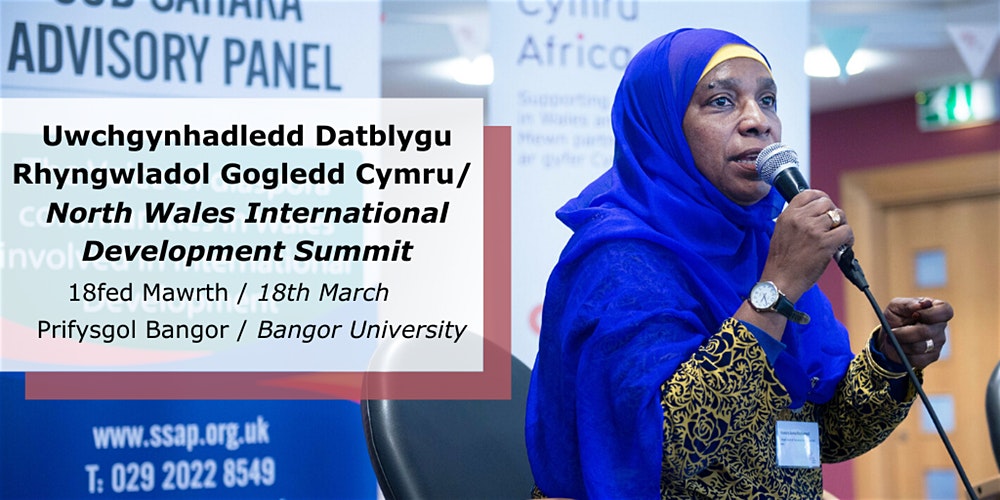 North Wales International Development Summit / Uwchgynhadledd Datblygu Rhyngwladol GogleddCymru